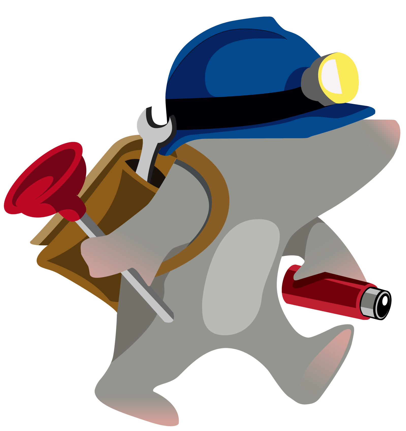 débouch visio net logo