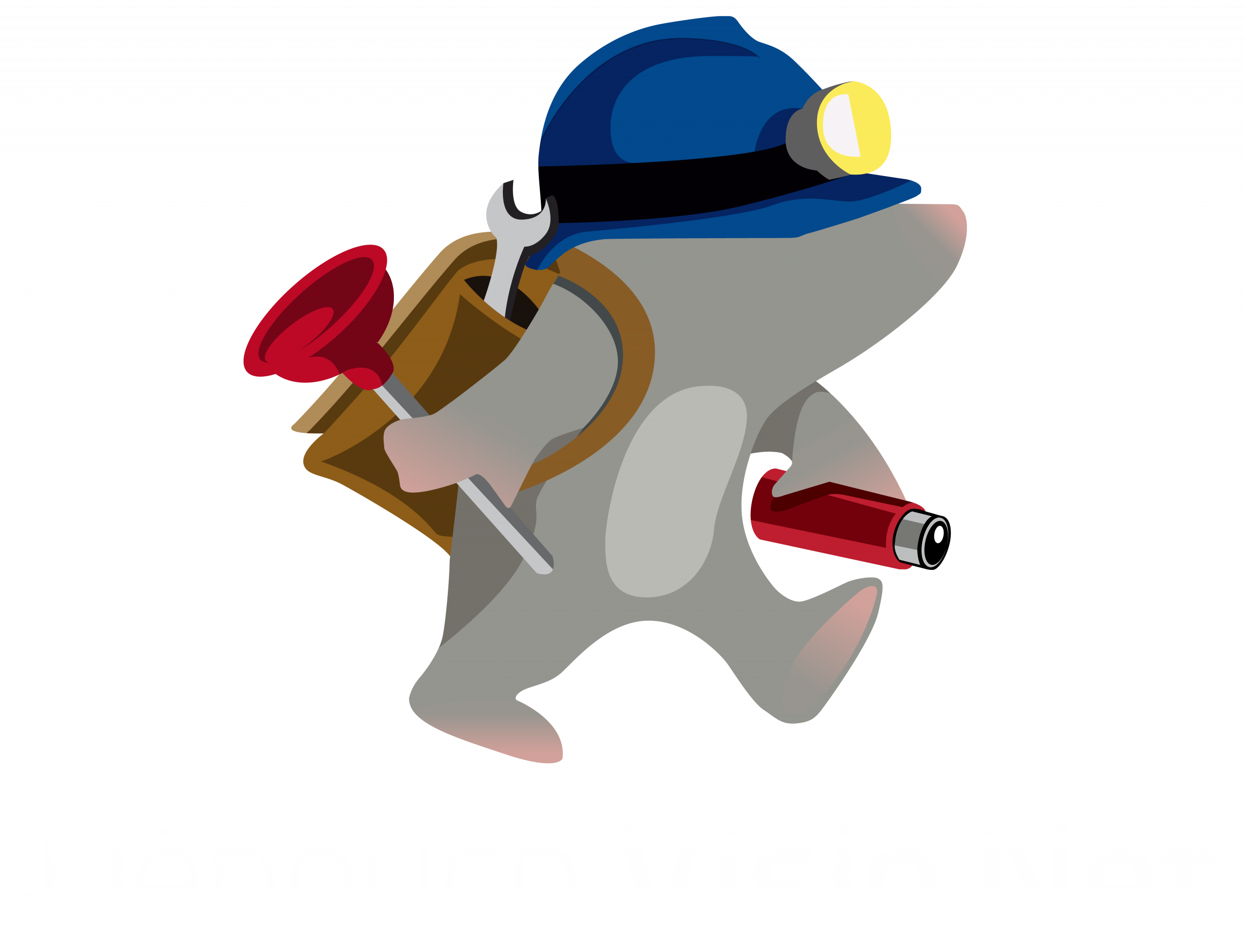 logo rectangulaire débouch'visio.net transparent détouré texte blanc