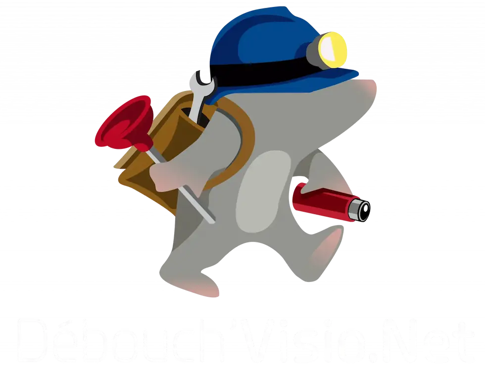 logo rectangulaire débouch'visio.net transparent détouré texte blanc